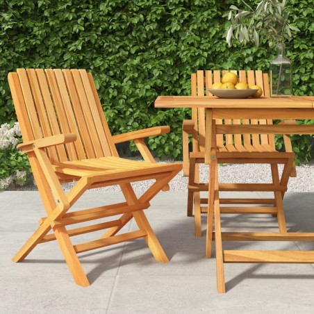 Chaises de jardin pliantes lot de 2 61x67x90cm bois massif teck 