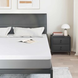 Coussins de Matelas Blanc 200 x 200 cm 
