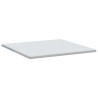 Coussins de Matelas Blanc 200 x 200 cm 