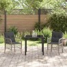Ensemble de jardin 3 pièces avec coussins en poly rotin gris clair 