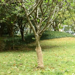 Rouleau de jute 0,5x5 m 100 % jute 200 g/m² 