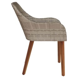 -chaises de jardin avec coussins 2 pcs Noir Poly Rattan 