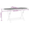 Table pliable de jardin 160x85x75 cm Bois d'eucalyptus massif 