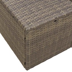 Canapé de jardin 2 places avec rangements et coussins Gris Poly Rotin 