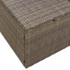 Canapé de jardin 2 places avec rangements et coussins Gris Poly Rotin 