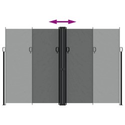 Auvent latéral rétractable anthracite 220x1000 cm 