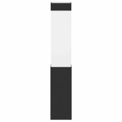Lampe Murale d'Extérieur Noir Acier Inoxydable IP44 