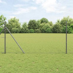 Ensemble de Clôture 2 pièces Gris Métal 25 x 1,2 m Durable 