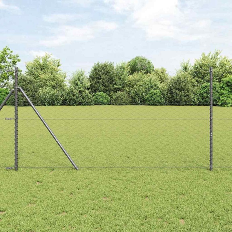 Ensemble de Clôture 2 pièces Gris Métal 25 x 1,2 m Durable 