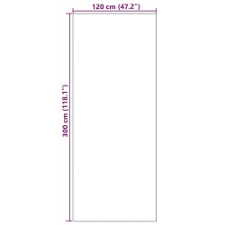Paillasson Rectangulaire Marron 120x300 cm 