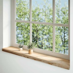 Appuis de fenêtre 2 pcs non traité 160x20x2cm bois chêne massif 