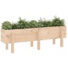Lit surélevé de jardin 121x30x38 cm bois de pin massif 