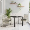 Ensemble de salle à manger de jardin 3 pièces avec coussins Gris clair Rattan PE 