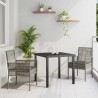Ensemble de Salle à Manger de Jardin 3 Pièces avec Coussins Gris Poly Rattan 