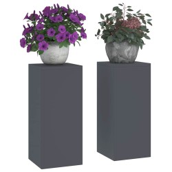 Supports de Plantes Extérieurs Pilier 2 pcs Anthracite 24x24x55 cm Acier 