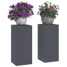 Supports de Plantes Extérieurs Pilier 2 pcs Anthracite 24x24x55 cm Acier 