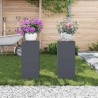 Supports de Plantes Extérieurs Pilier 2 pcs Anthracite 24x24x55 cm Acier 