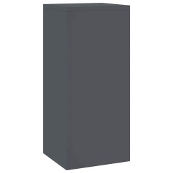 Supports de Plantes Extérieurs Pilier 2 pcs Anthracite 24x24x55 cm Acier 