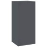 Supports de Plantes Extérieurs Pilier 2 pcs Anthracite 24x24x55 cm Acier 