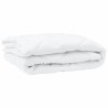 Duvet toutes saisons 3 pcs Blanc 200 x 200 cm Microfibre 