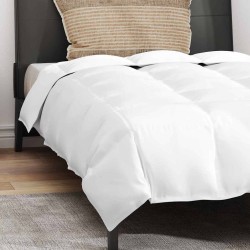 Couette avec oreiller 2 pcs Blanc 155 x 200 cm Bas 