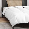 Couette avec oreiller 2 pcs Blanc 155 x 200 cm Bas 