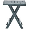 Table pliable de jardin vert 45x43x50 cm plastique  