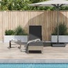 Transat Gris et gris foncé Rattan PE 157 x 55 x 92 cm Transat 