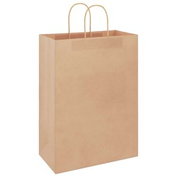 Sacs en papier 50 pcs avec poignées marron 32x17x44 cm 
