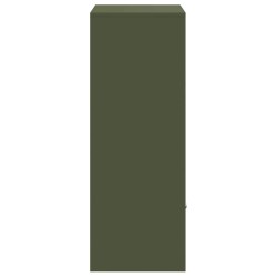 Boîte de dépôt de colis Vert olive 41 x 38 x 103 cm Acier 