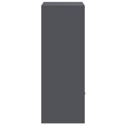 Boîte de dépôt de colis Anthracite 41 x 38 x 103 cm Acier 