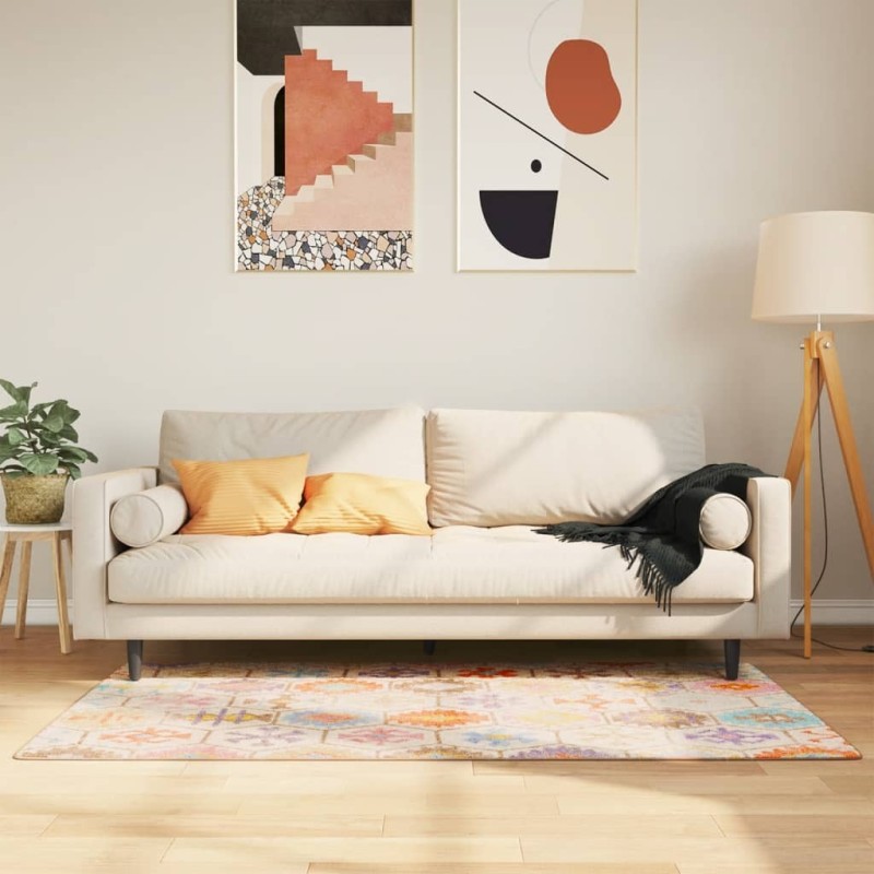 Tapis lavable multicolore 80x150 cm antidérapant 
