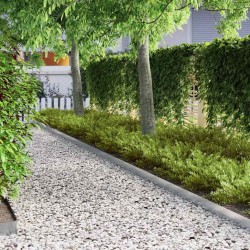 Bordure de jardin Argent 450 x 10 cm Acier galvanisé 