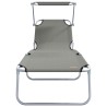 Chaises longues pliantes 2 pcs avec auvent en tissu Oxford gris 600D 