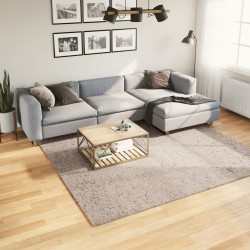 Tapis shaggy PAMPLONA poils longs moderne beige 240x240 cm 