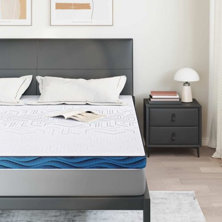 Coussins de Matelas Blanc et Bleu 200 x 200 cm 
