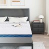 Coussins de Matelas Blanc et Bleu 200 x 200 cm 