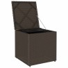 Coffre de Rangement Extérieur Brun et Crème Rotin Moyen Rangement 