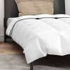 Couette avec oreiller 2 pcs Blanc 150 x 200 cm Bas 