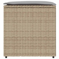 Coffre de rangement extérieur Beige Rattan synthétique Moyen 