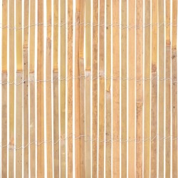 Clôture Bambou 1000 x 50 cm 