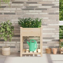 Jardinière avec étagère 60x60x76 cm en bois massif de pin 
