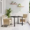Ensemble de jardin 3 pièces avec coussins en poly rotin beige 