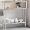 Table de travail de cuisine avec étagère 110x30x120 cm inox 
