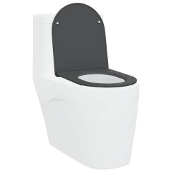 Siège de toilette à fermeture rapide avec chute douce en duroplast anthracite 