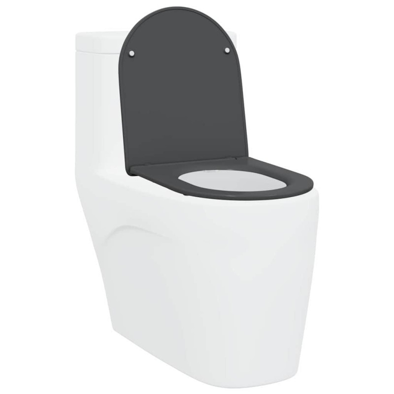 Siège de toilette à fermeture rapide avec chute douce en duroplast anthracite 