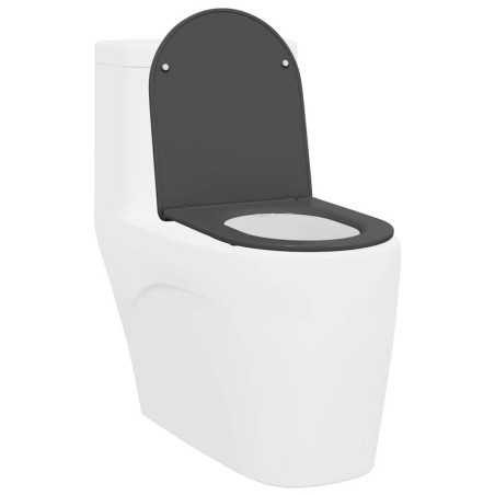 Siège de toilette à fermeture rapide avec chute douce en duroplast anthracite 