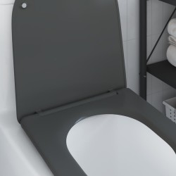 Siège de toilette à fermeture rapide avec chute douce en duroplast anthracite 