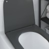 Siège de toilette à fermeture rapide avec chute douce en duroplast anthracite 