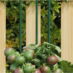Piquets pour plantes de jardin 30 pcs vert 90 cm acier 